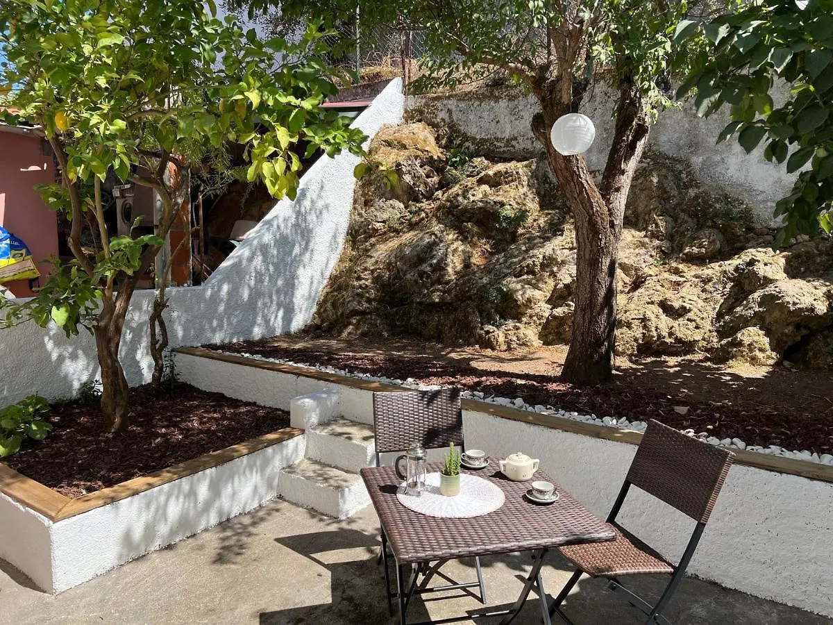 Moradia Com Alma Xico\'S House contacts